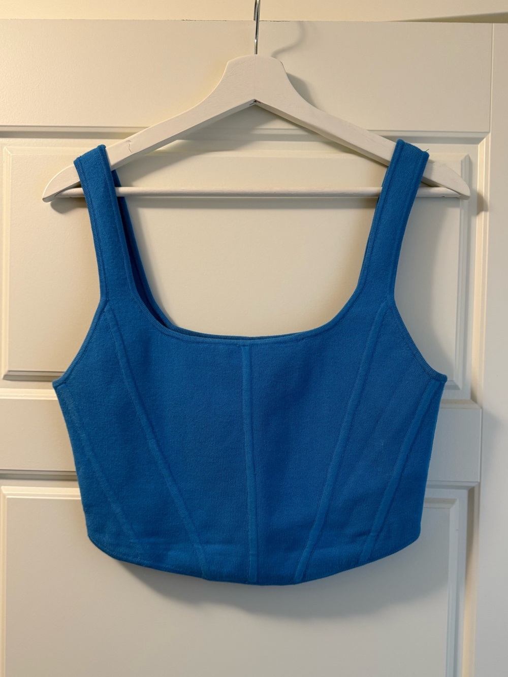 Aritzia Babaton Sculpt Knit Bustier Top (blue / L)